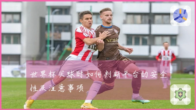 世界杯买球时如何判断平台的安全性及注意事项
