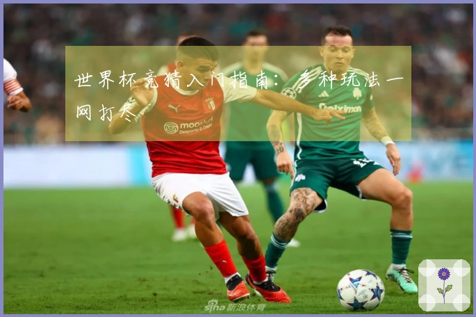世界杯竞猜入门指南：多种玩法一网打尽