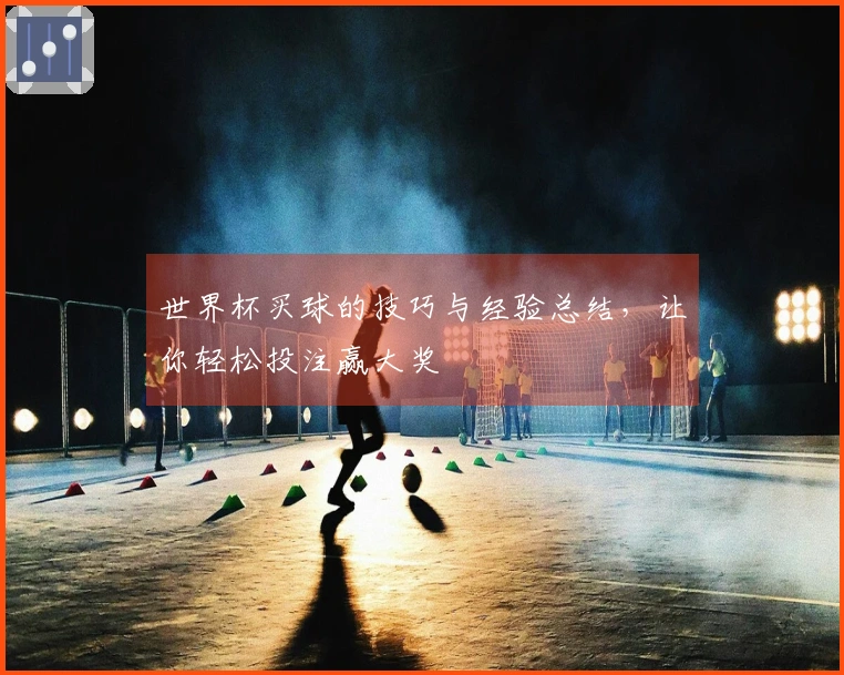 世界杯买球的技巧与经验总结，让你轻松投注赢大奖