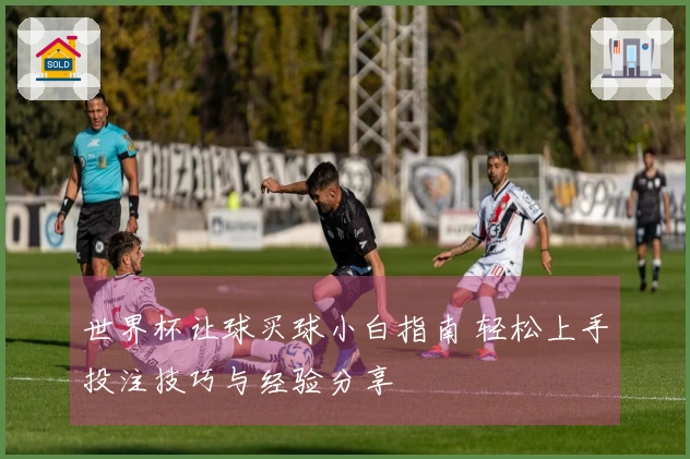 世界杯让球买球小白指南 轻松上手投注技巧与经验分享