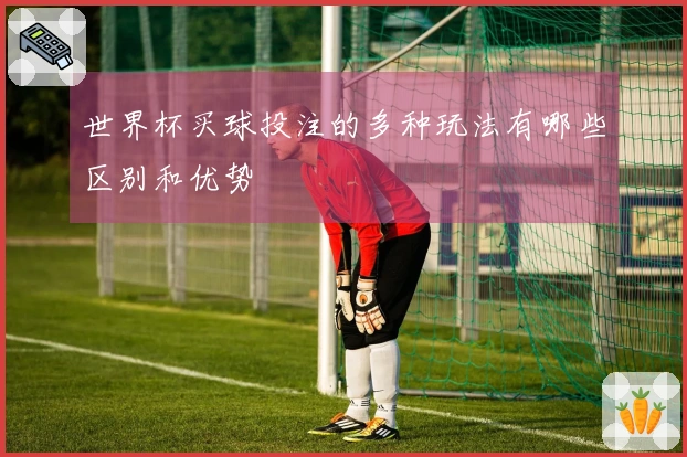 世界杯买球投注的多种玩法有哪些区别和优势