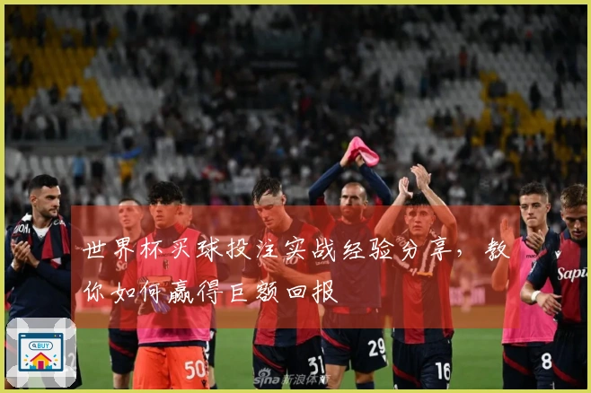 世界杯买球投注实战经验分享，教你如何赢得巨额回报