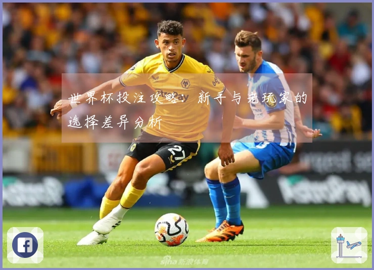 世界杯投注攻略：新手与老玩家的选择差异分析