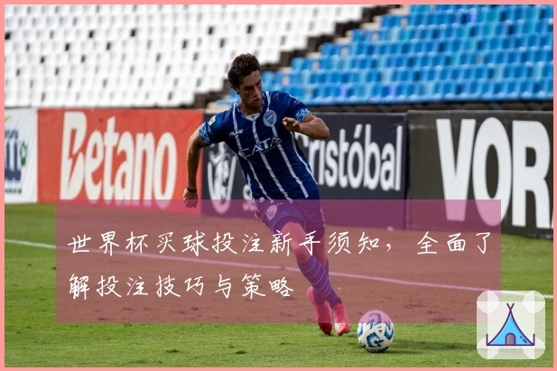 世界杯买球投注新手须知，全面了解投注技巧与策略