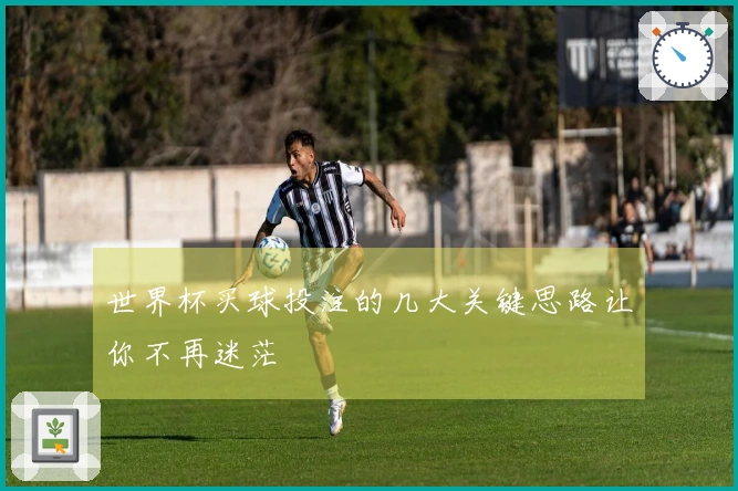 世界杯买球投注的几大关键思路让你不再迷茫