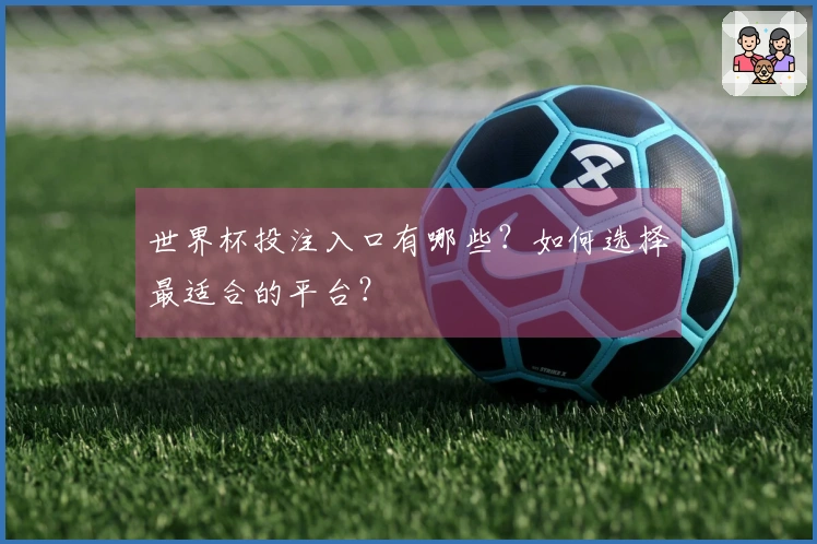 世界杯投注入口有哪些？如何选择最适合的平台？