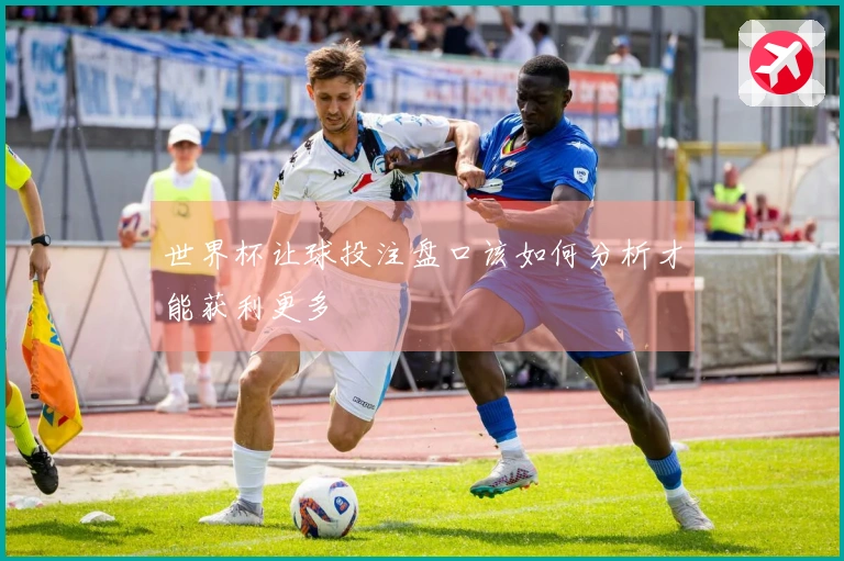 世界杯让球投注盘口该如何分析才能获利更多