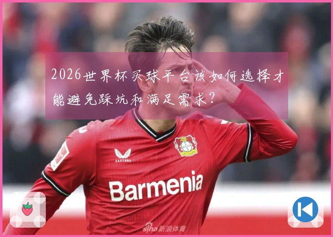 2026世界杯买球平台该如何选择才能避免踩坑和满足需求？