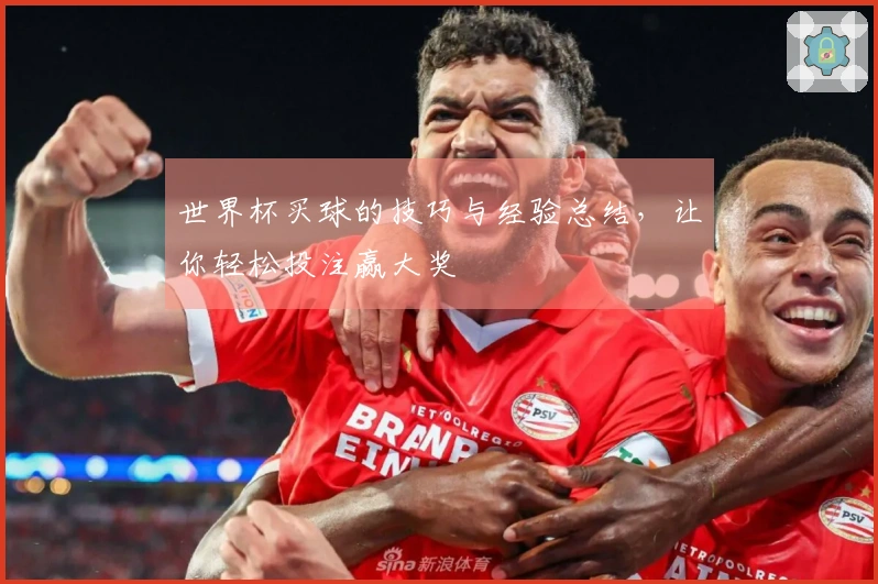 世界杯买球的技巧与经验总结，让你轻松投注赢大奖