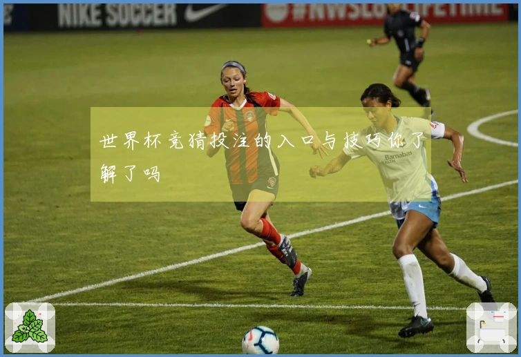世界杯竞猜投注的入口与技巧你了解了吗