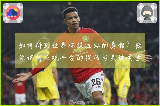 如何辨别世界杯投注站的真假？教你识别正规平台的技巧与关键要素