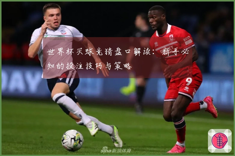 世界杯买球竞猜盘口解读：新手必知的投注技巧与策略