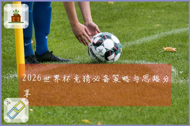 2026世界杯竞猜必备策略与思路分享