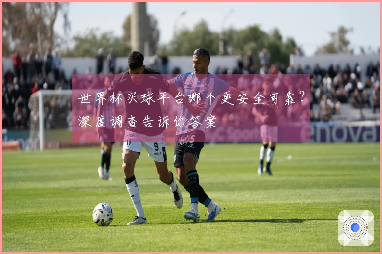 世界杯买球平台哪个更安全可靠？深度调查告诉你答案