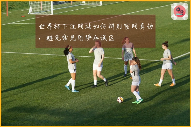世界杯下注网站如何辨别官网真伪，避免常见陷阱和误区