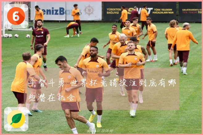 斗智斗勇 世界杯竞猜投注到底有哪些潜在机会