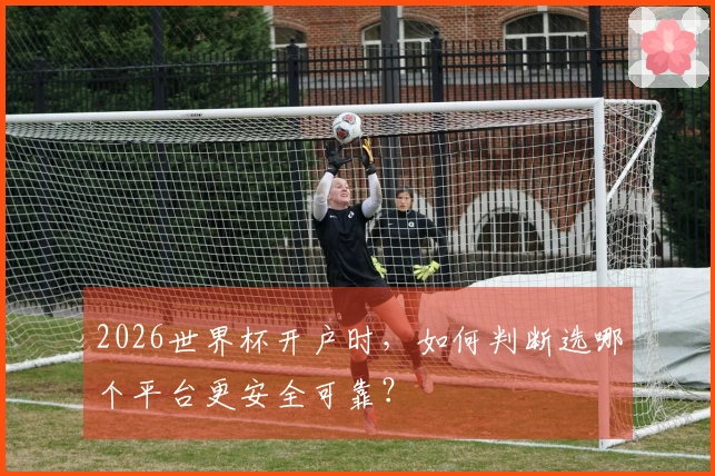 2026世界杯开户时，如何判断选哪个平台更安全可靠？