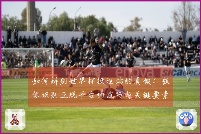如何辨别世界杯投注站的真假？教你识别正规平台的技巧与关键要素