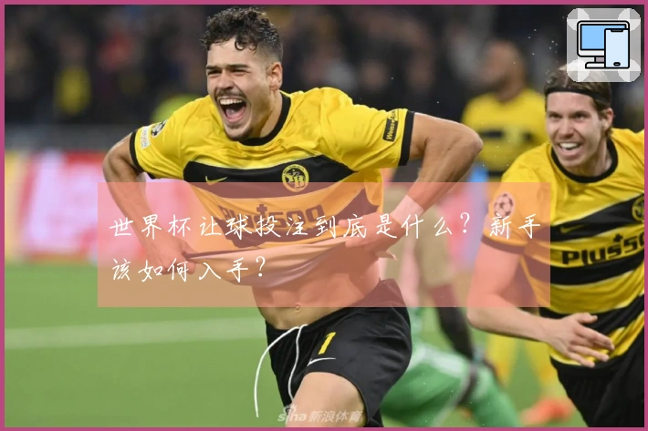 世界杯让球投注到底是什么？新手该如何入手？