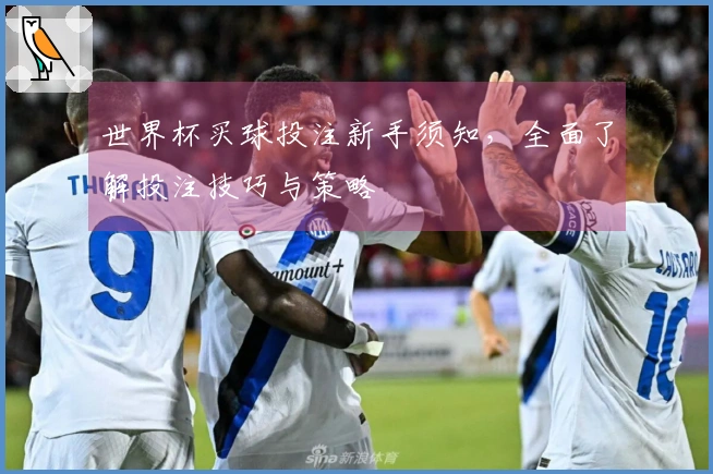 世界杯买球投注新手须知，全面了解投注技巧与策略