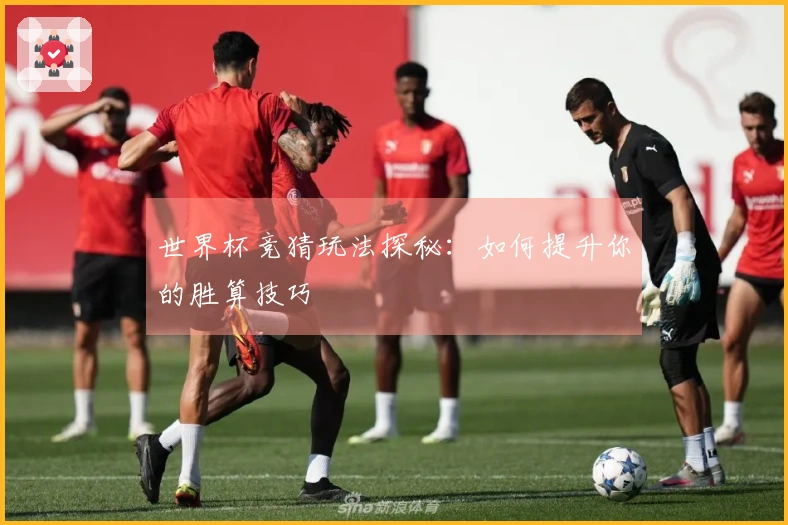 世界杯竞猜玩法探秘：如何提升你的胜算技巧